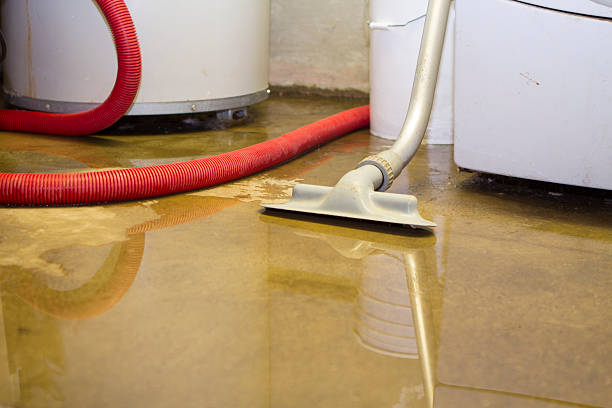 Best Fire Damage Restoration  in Muhlenberg Rk, PA