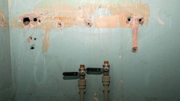 Best Commercial water damage restoration  in Muhlenberg Rk, PA