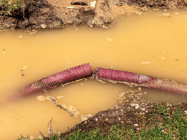 Best Professional water damage repair  in Muhlenberg Rk, PA